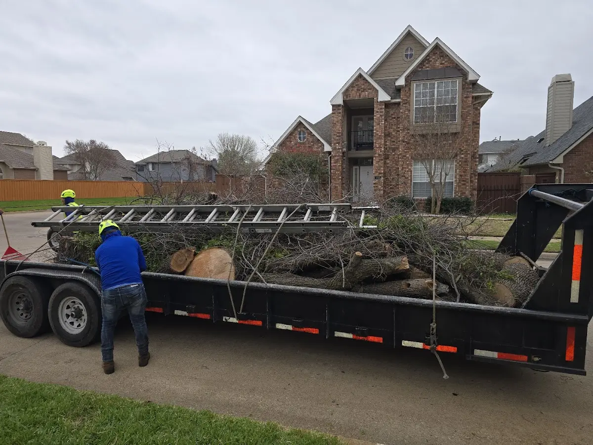 Expert Lot Clearing with proper safety equipment in Linn